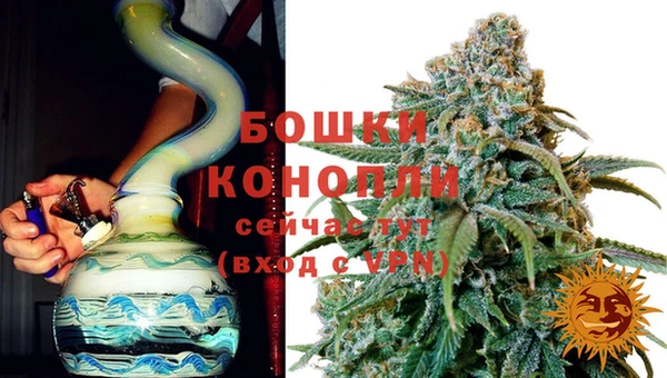 СК Вязьма
