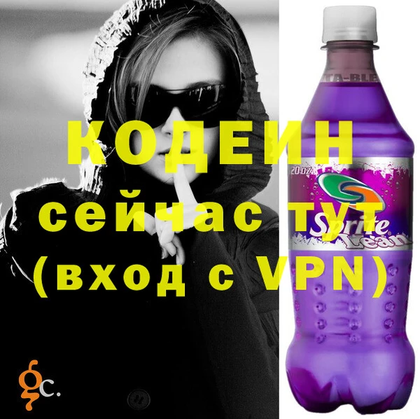 СК Вязьма