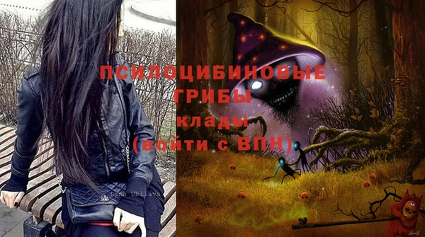 не бодяженный Вяземский