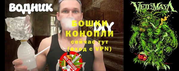 СК Вязьма