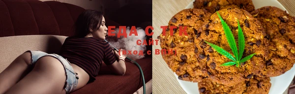 СК Вязьма