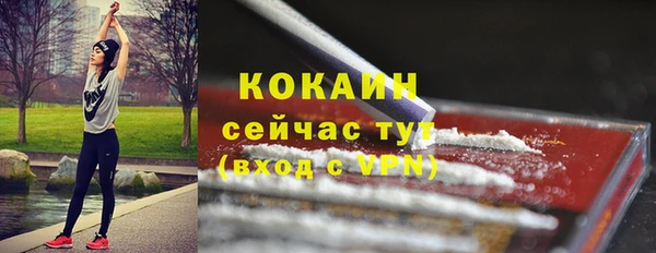 СК Вязьма