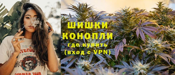 СК Вязьма